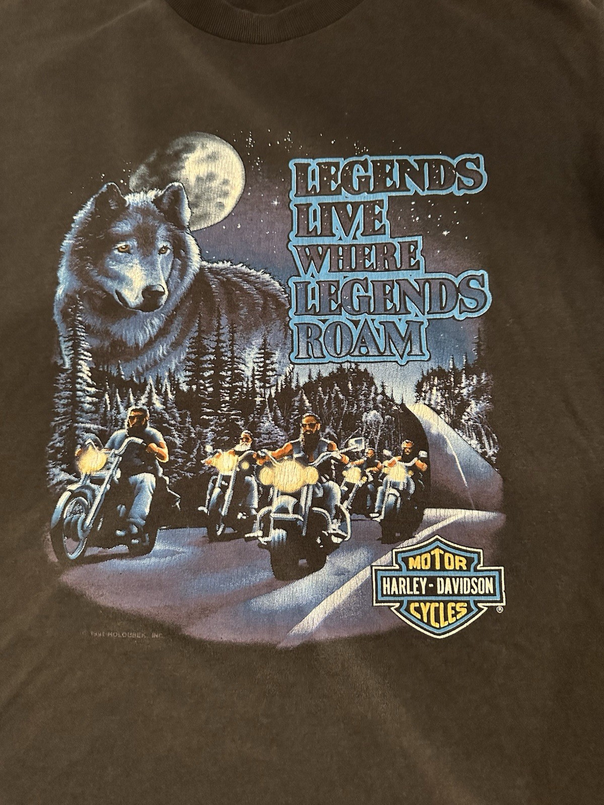 Harley Davidson T-Shirt “Legends Live Where Legends Roam” 1991 Vintage Size L
