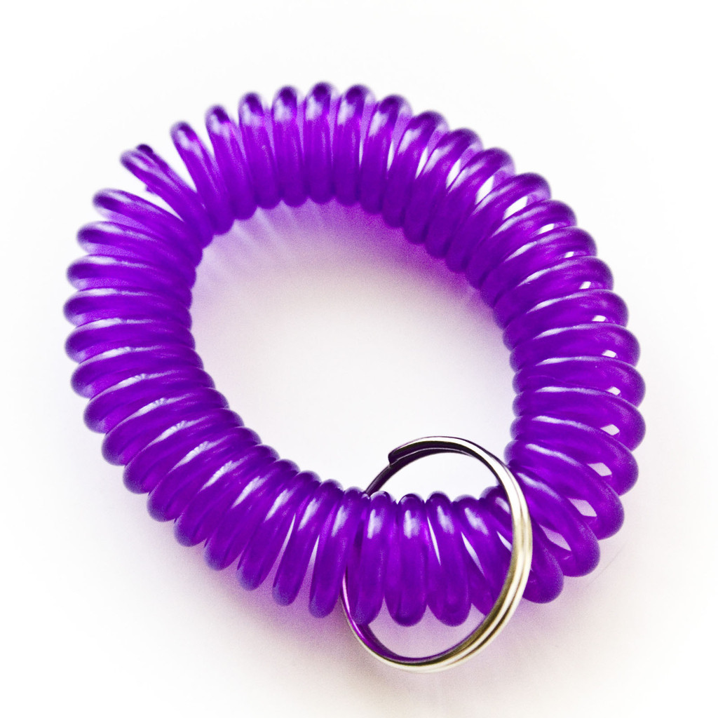12 NEW SPIRAL WRIST COIL KEY CHAIN KEY RING HOLDER – 6 COLOR AVAILABLE FREE SHIP