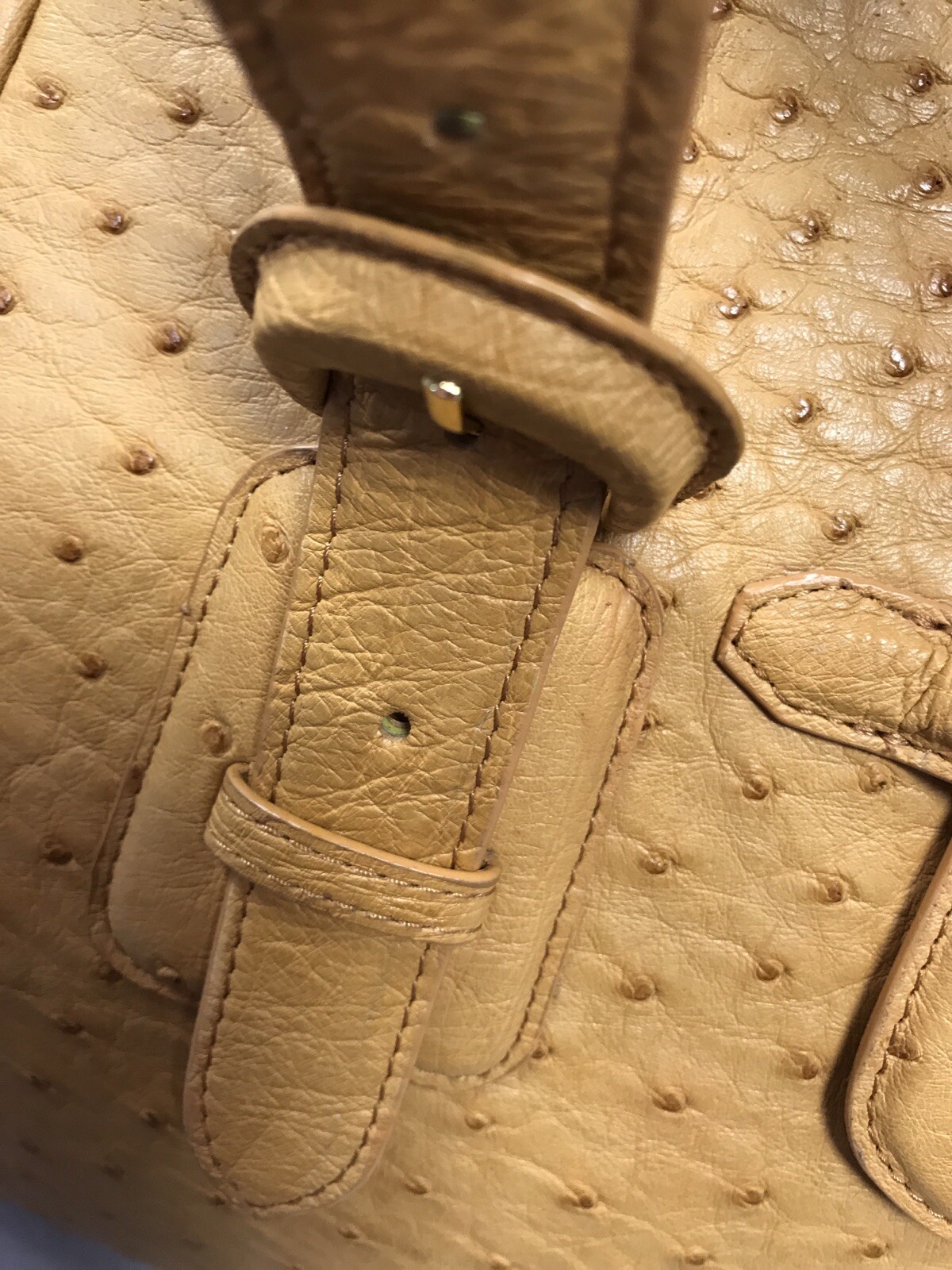 Phil Luan Grath Butterscotch Ostrich Handbag Nwot