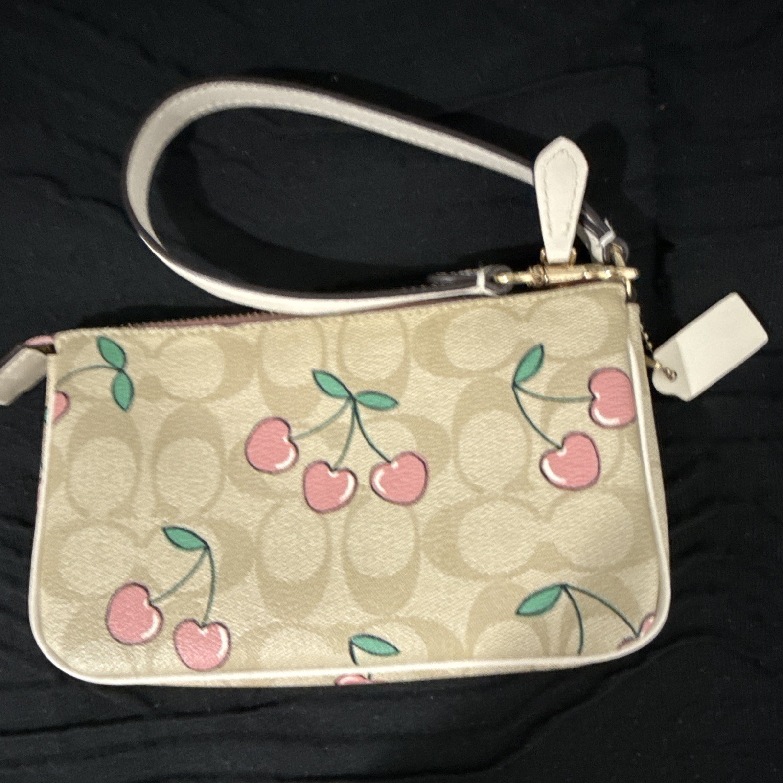 Coach Cherry Print Wristlet Nolita 19