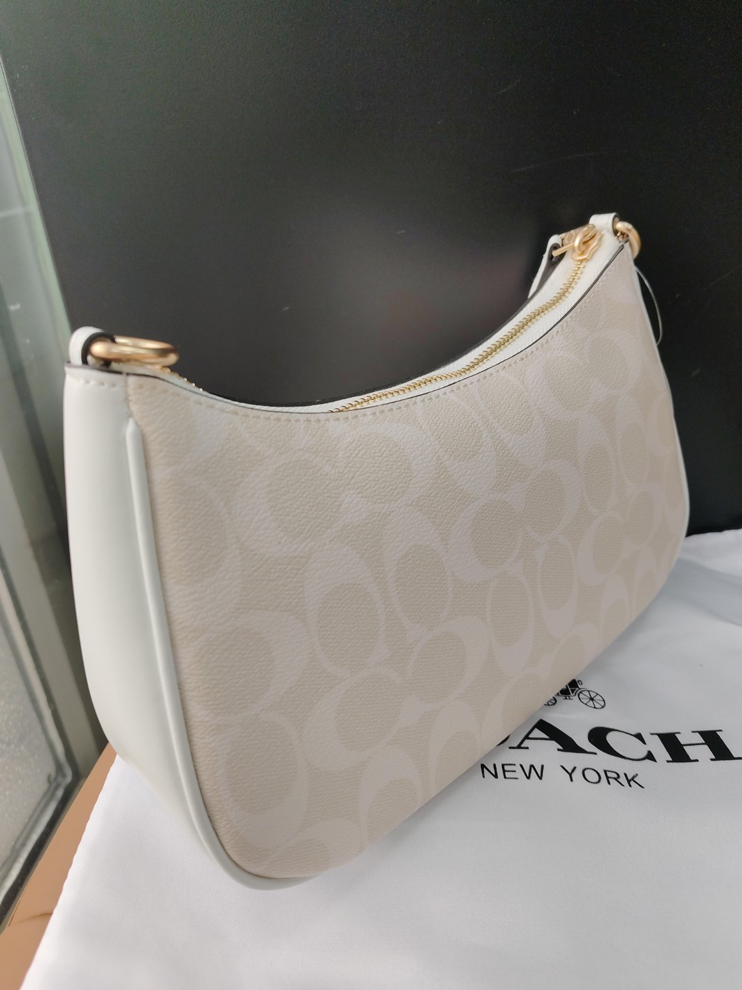 COACH Teri Shoulder Bag In Signature Canvas CA548 Glacier White NWT