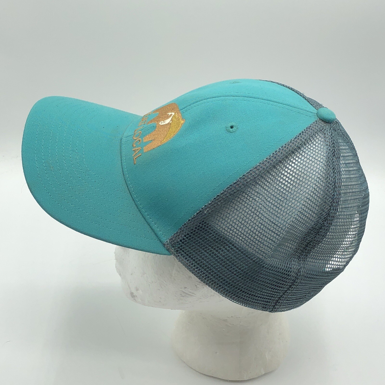Patagonia Eat Local Up Stream Bear LoPro Snapback Trucker Hat Adjustable Cap