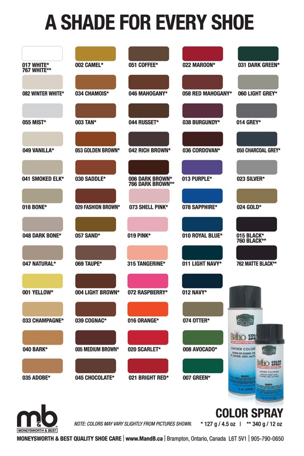 Moneysworth&Best Color Brillo Spray Leather Plastic Vinyl Paint Dye 4.5 oz
