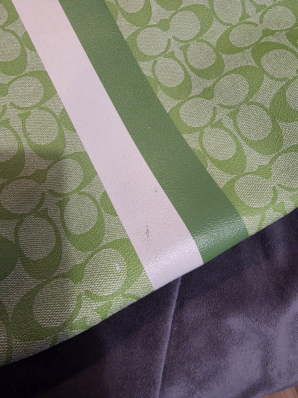 Vintage Coach Heritage Stripe hobo bag in a lime green & white signature canvas