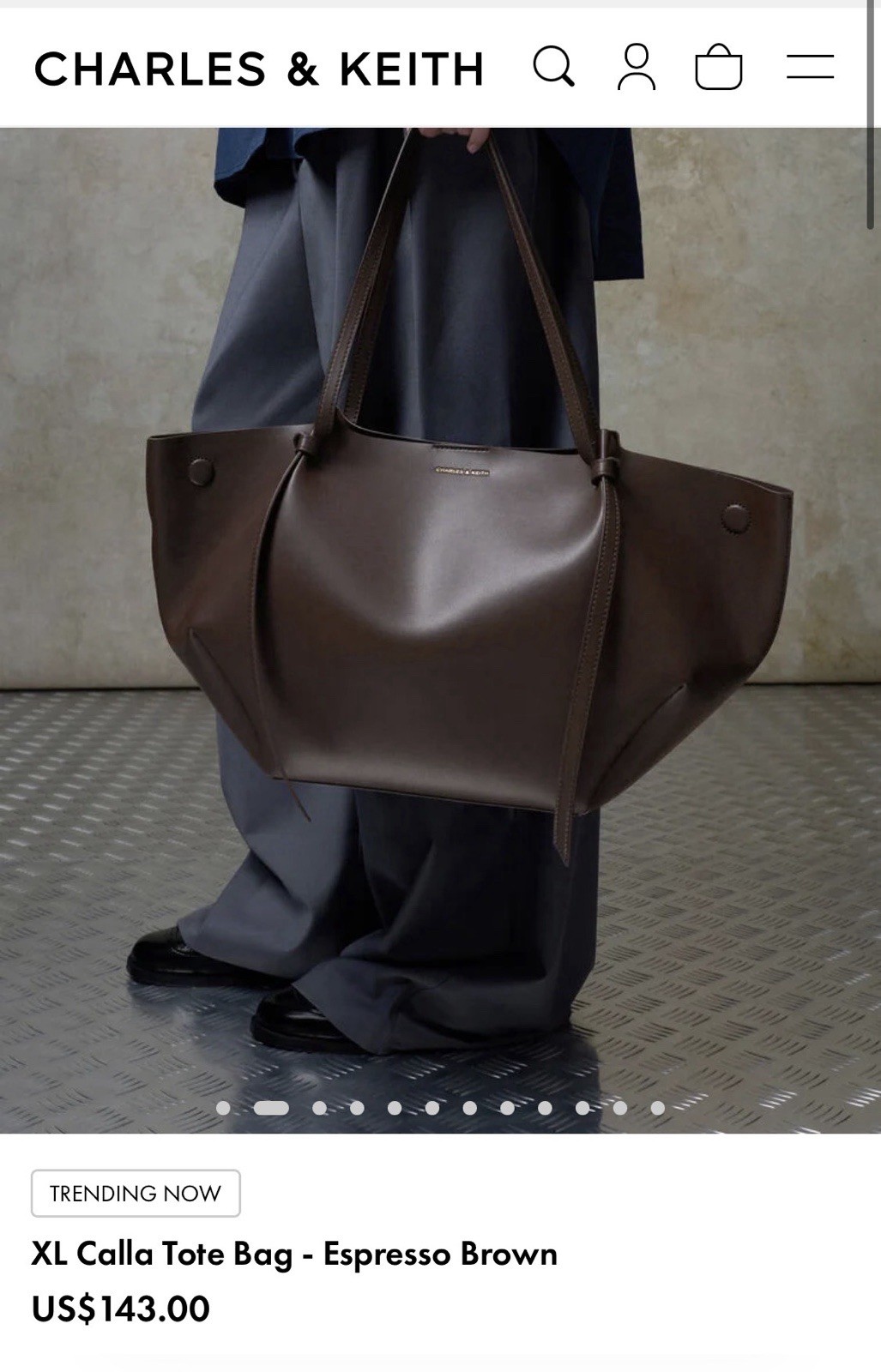 CHARLES & KEITH Women’s XL Espresso Brown Tote Bag Shoulder Strap Solid