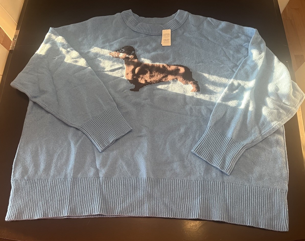 Aerie Softest Luxe Crew Neck Cozy Sweater Dachshund Dog Graphic Womens XXL New