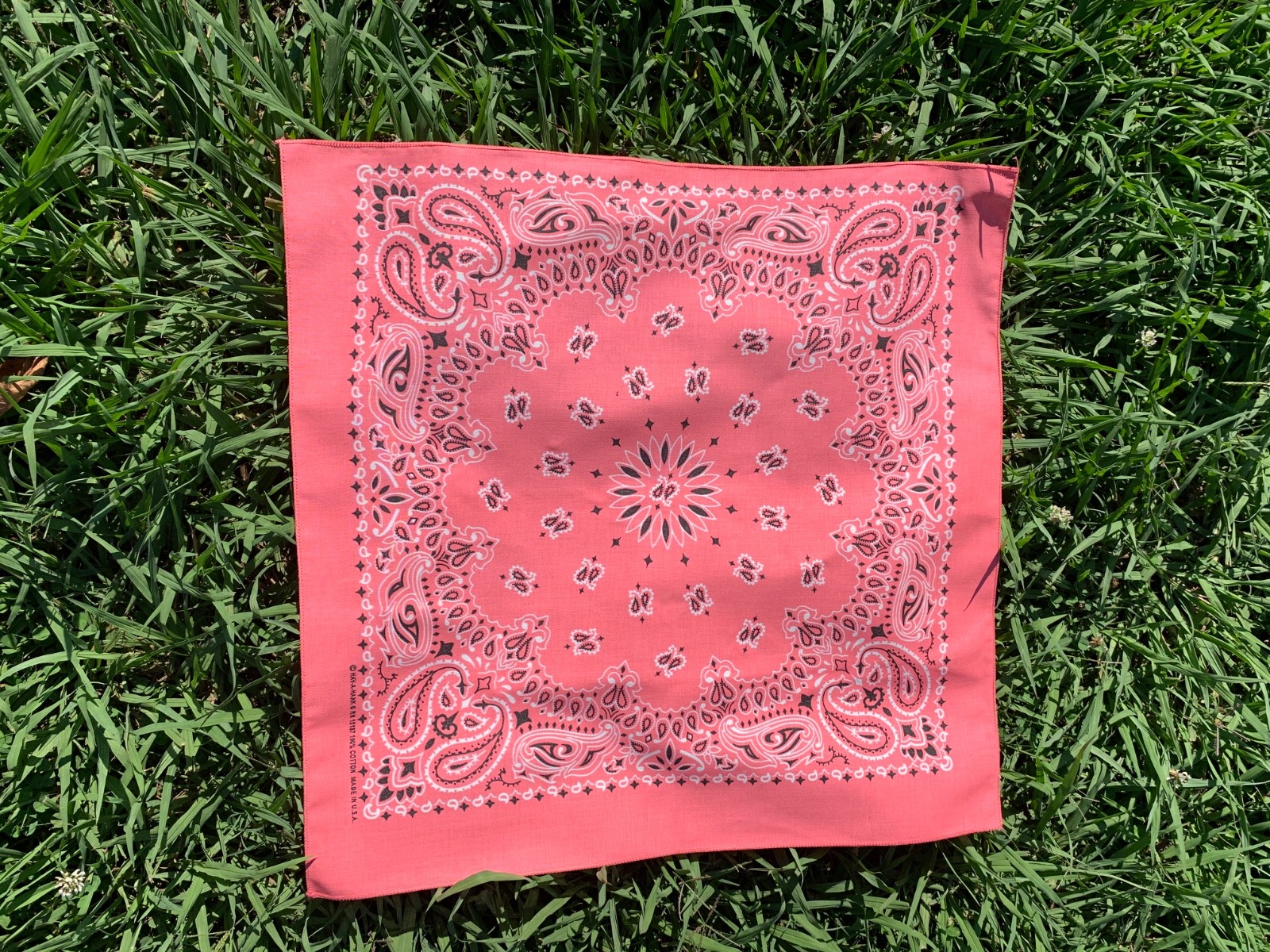 Strawberry Paisley 22×22 Bandanna, Made in USA, Hav-A-Hank