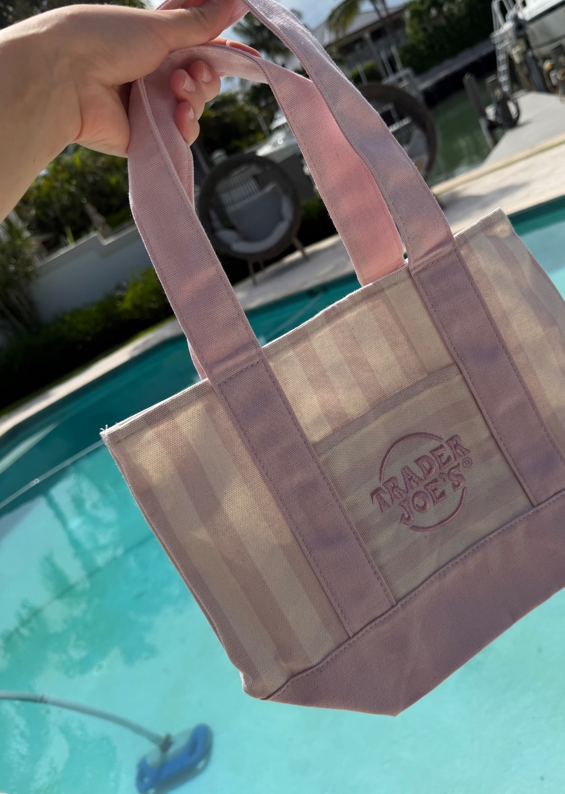 ALL 4 Limited Summer Edition Trader Joe’s mini canvas tote bag SET OF 4