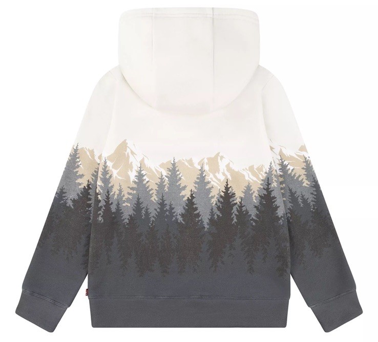 Levi’s Boy’s Hoodie Easy Fit Soft Fleece Size XS (4-5) Dark Shadow Pine Trees
