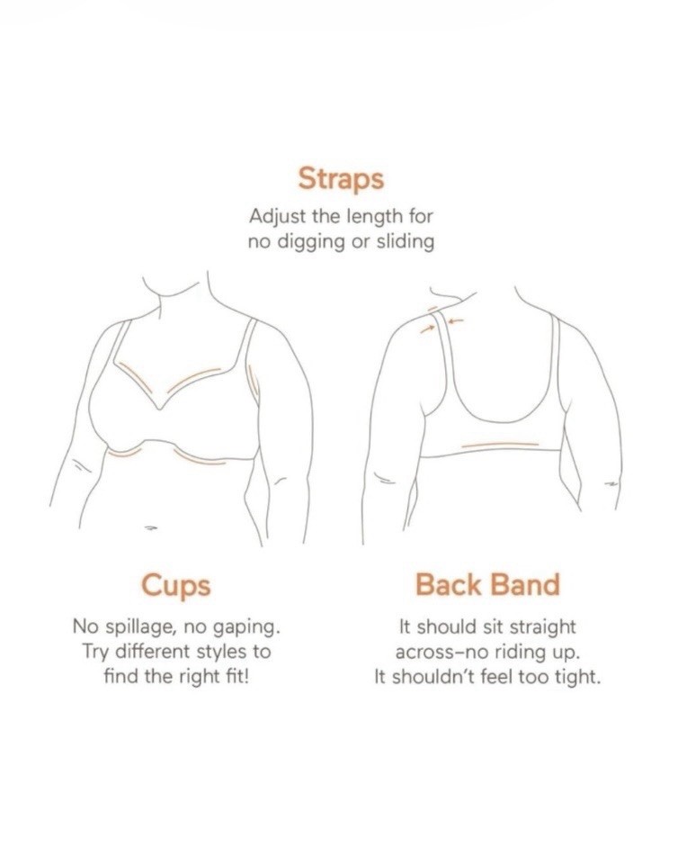 Warner’s Women’s 2-Pack T-Shirt Bras 36C Underwire Unlined Lace Black/ White