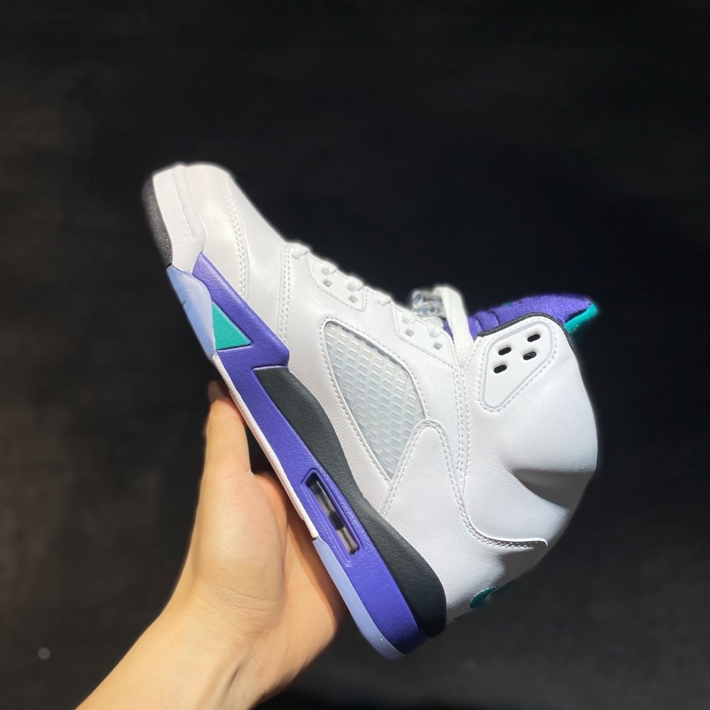 AJ 5 Retro Grape 2025 HQ7978-100 Men Size