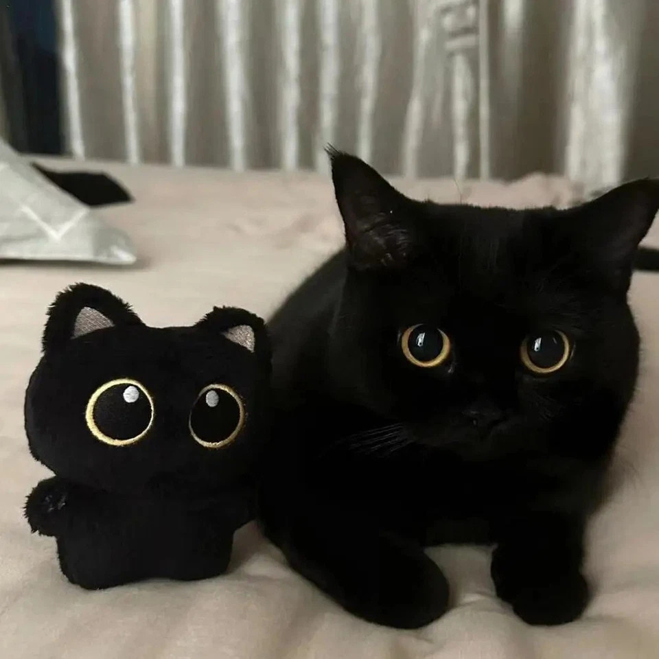 Cute Black Cat Plush Keychain – Soft Stuffed Bag Charm Doll Pendant for Car Keys