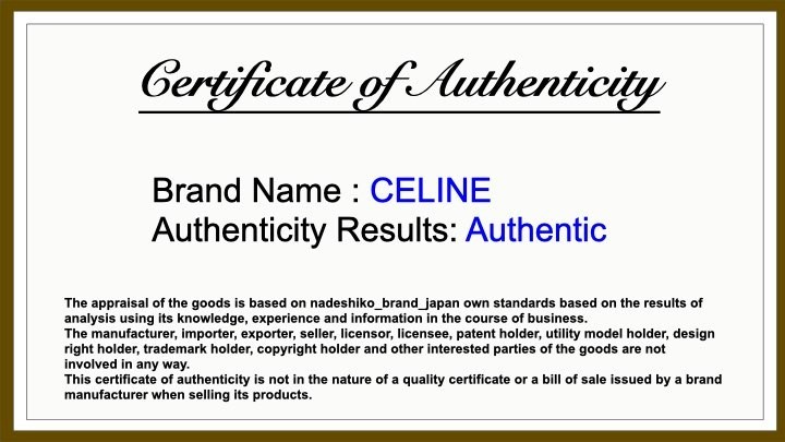 CELINE Macadam Accessory Pouch PVC Leather Hand Bag Purse Authentic #1144