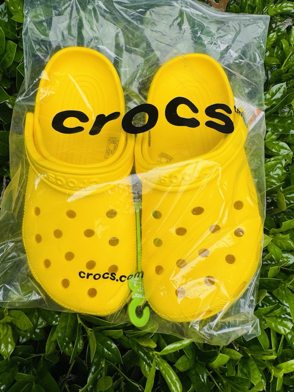 Crocs Yellow 9M men’s – 11W Women’s Classic Clogs Fast Shipping. 🐊