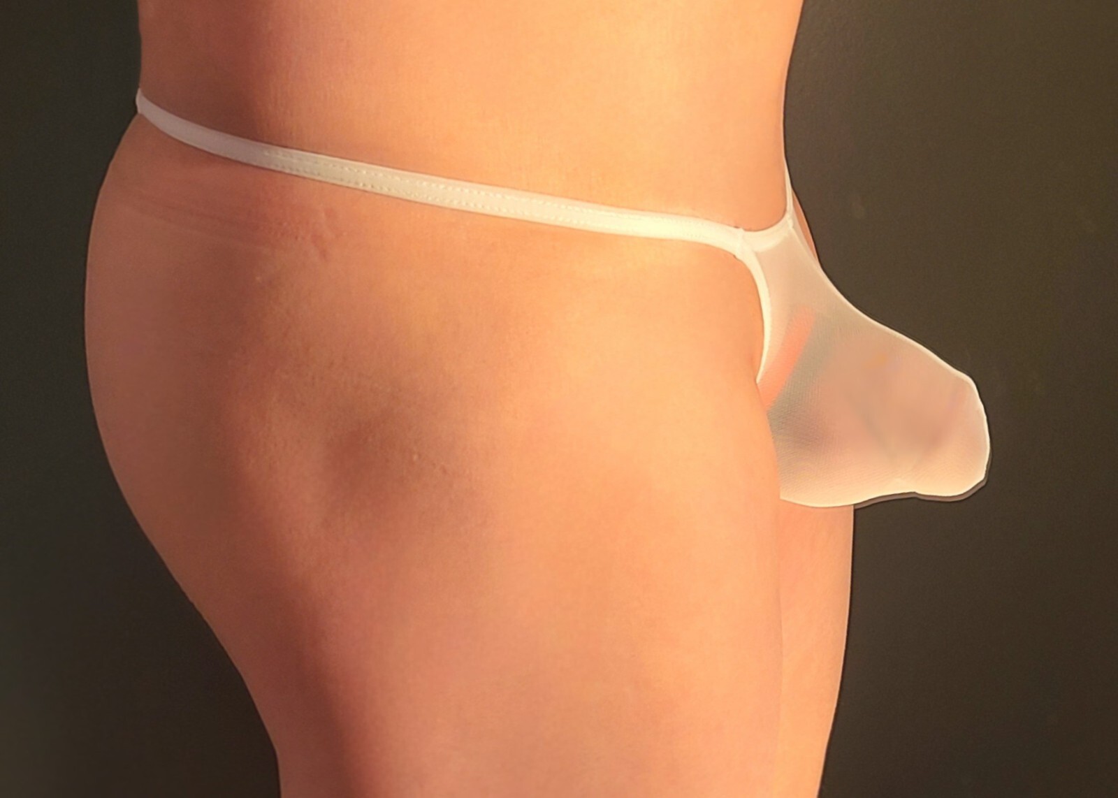 SEXY MENS SEE-THRU K403 GRAPE SMUGGLERS SHEAR MESH THONGS (M-29-33)-WHITE