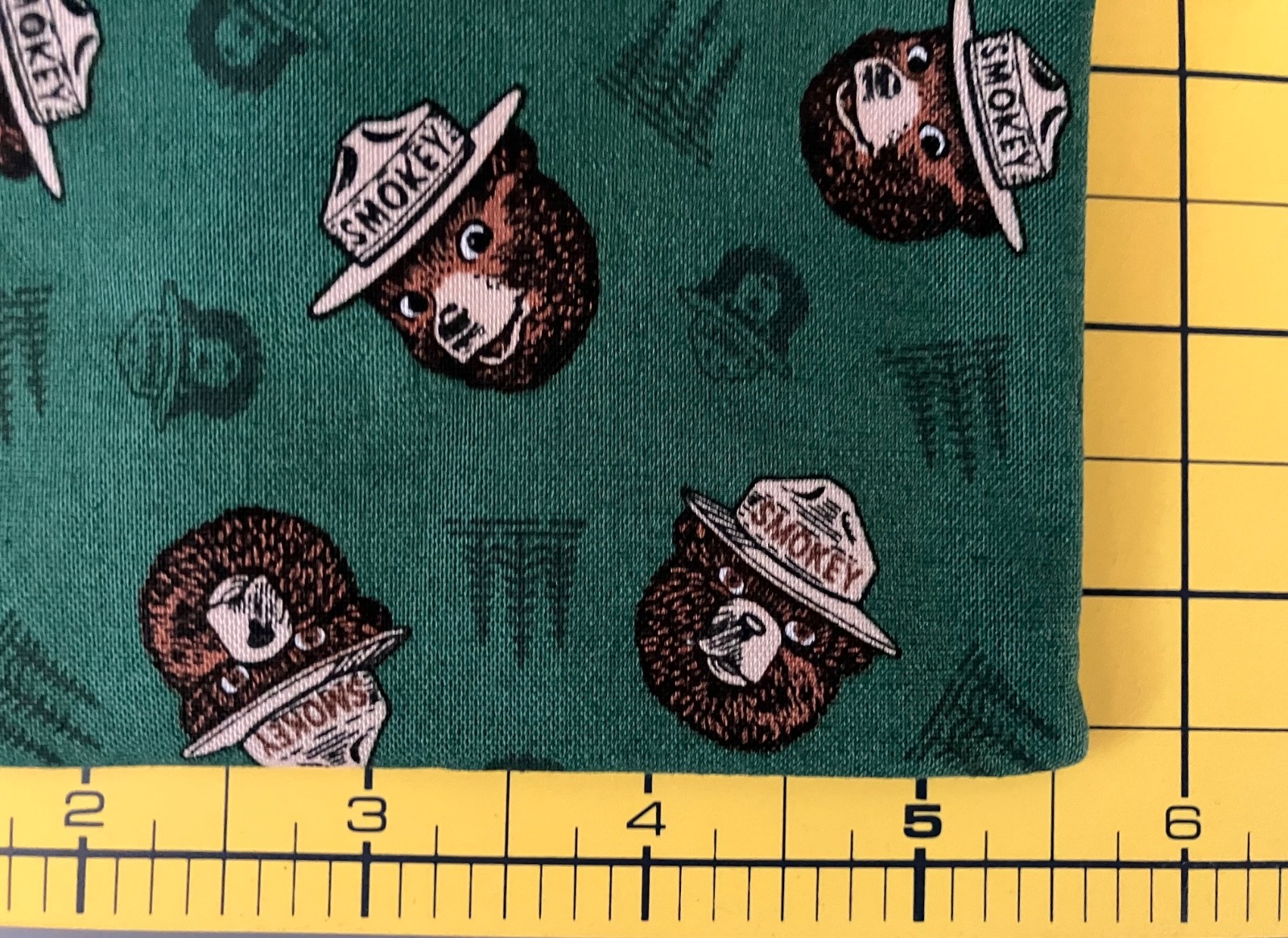 Smokey The Bear Green background small zippered bag