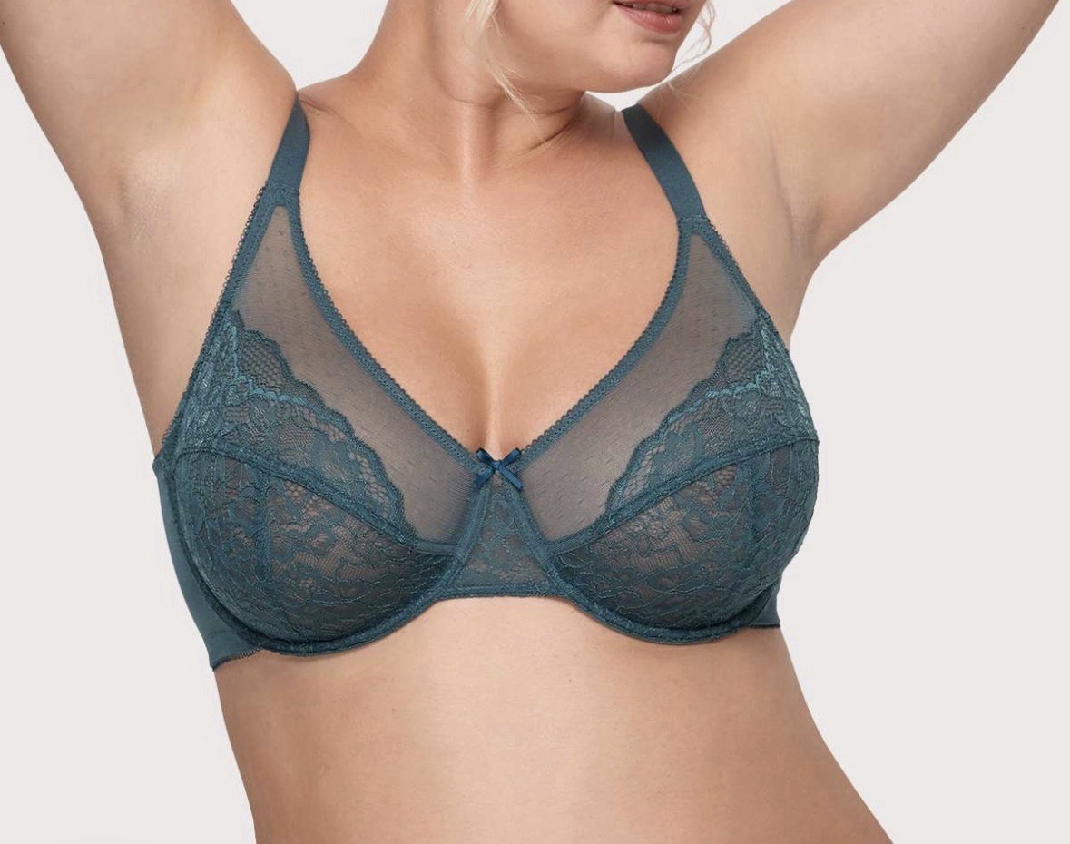 HSIA Enchante Unlined Non-padded Lace Underwire Bra 36H-46DDD