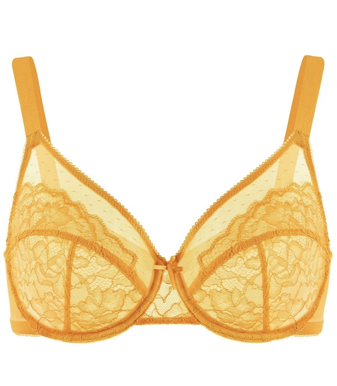 HSIA Enchante Unlined Non-padded Lace Underwire Bra 36H-46DDD