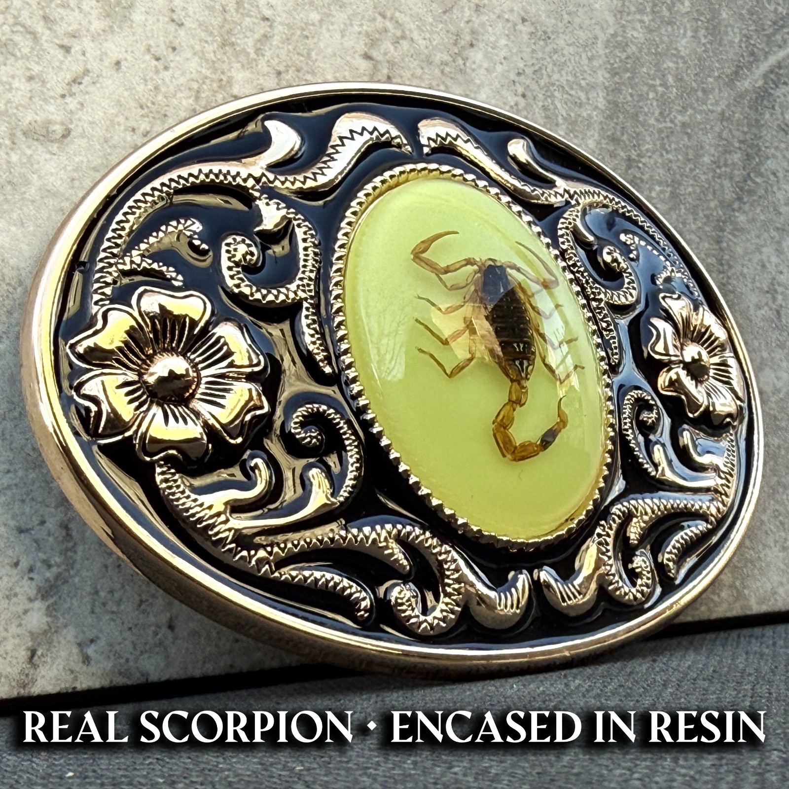 Western Scorpion Belt Buckle Real Scorpion Resin Glow in Dark. For 1.5″ Belt