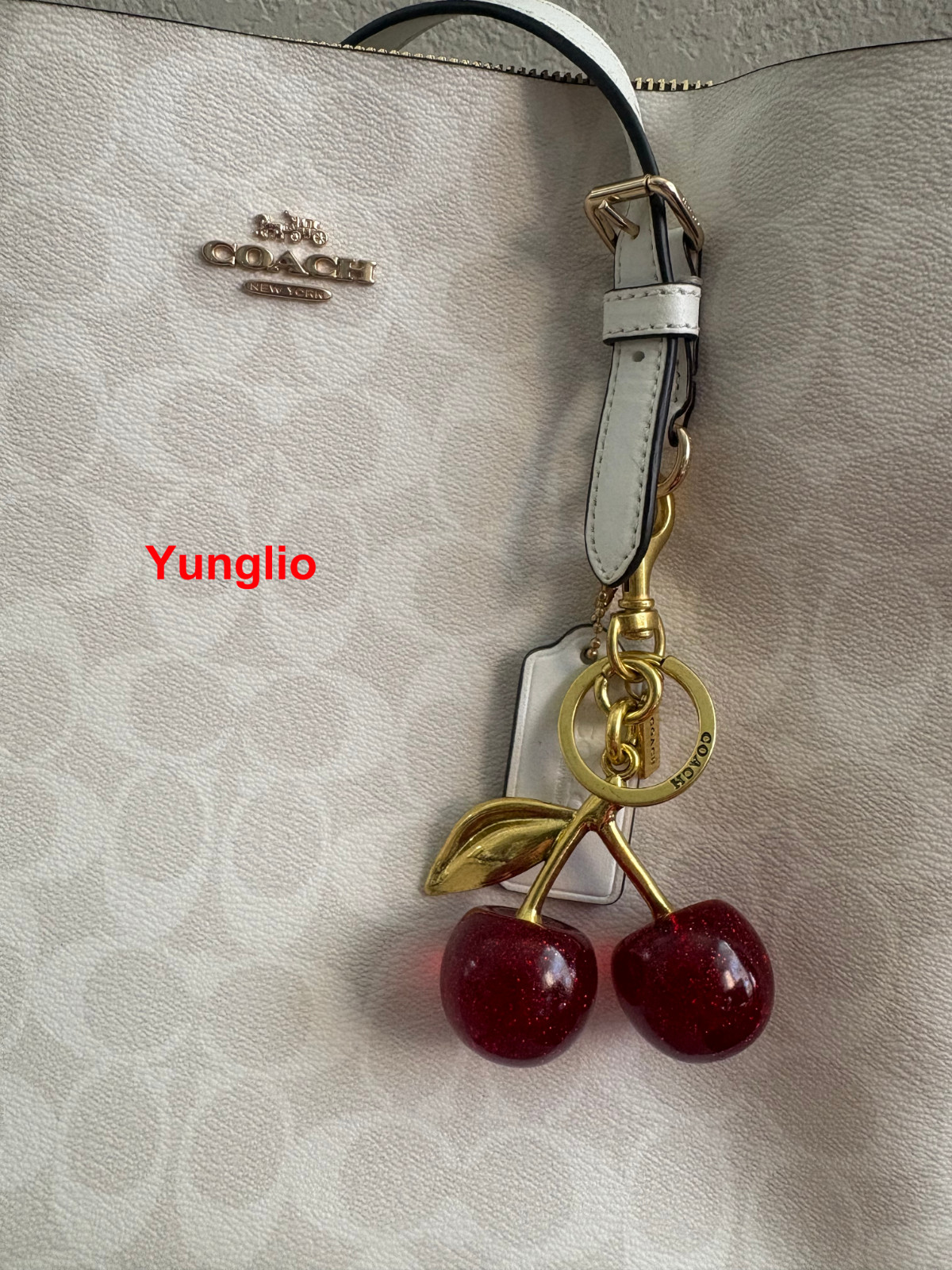 Coach Red Cherry Apple Bag Charm Keychain Resin Metal Brass Purse Decoration
