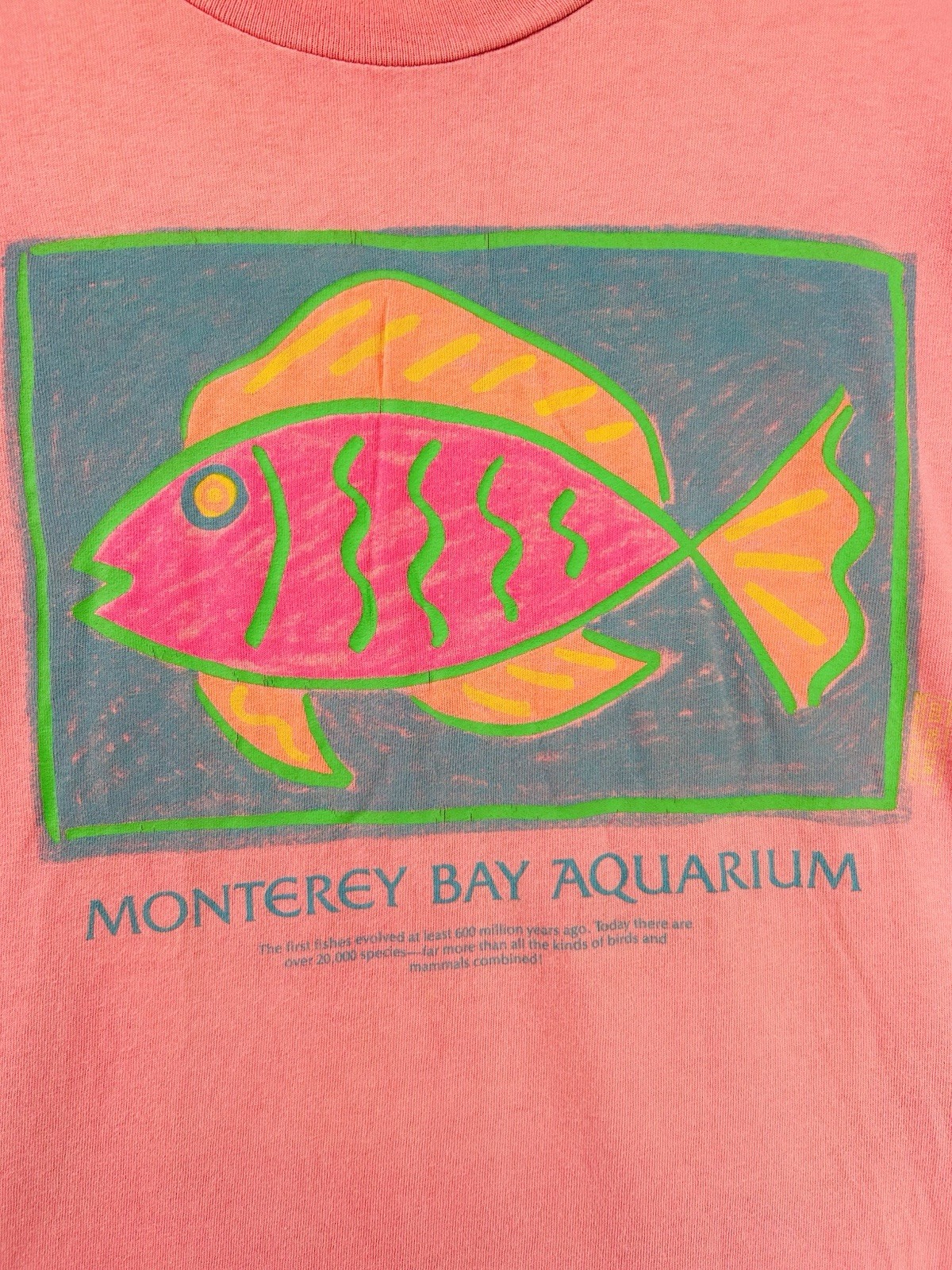 Vtg Monterey Bay Aquarium Tropical Fish T-shirt Pink Retro Tee Sea Life XL