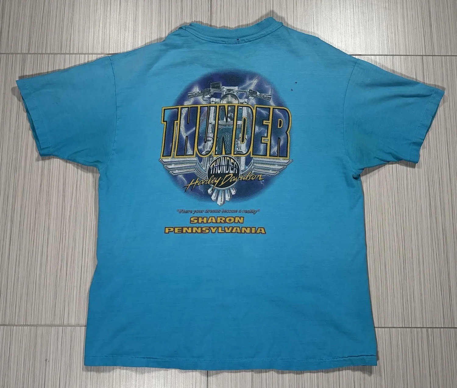 Vintage Harley Davidson Riders Choice Teal T Shirt (Size XL) “Sharon”