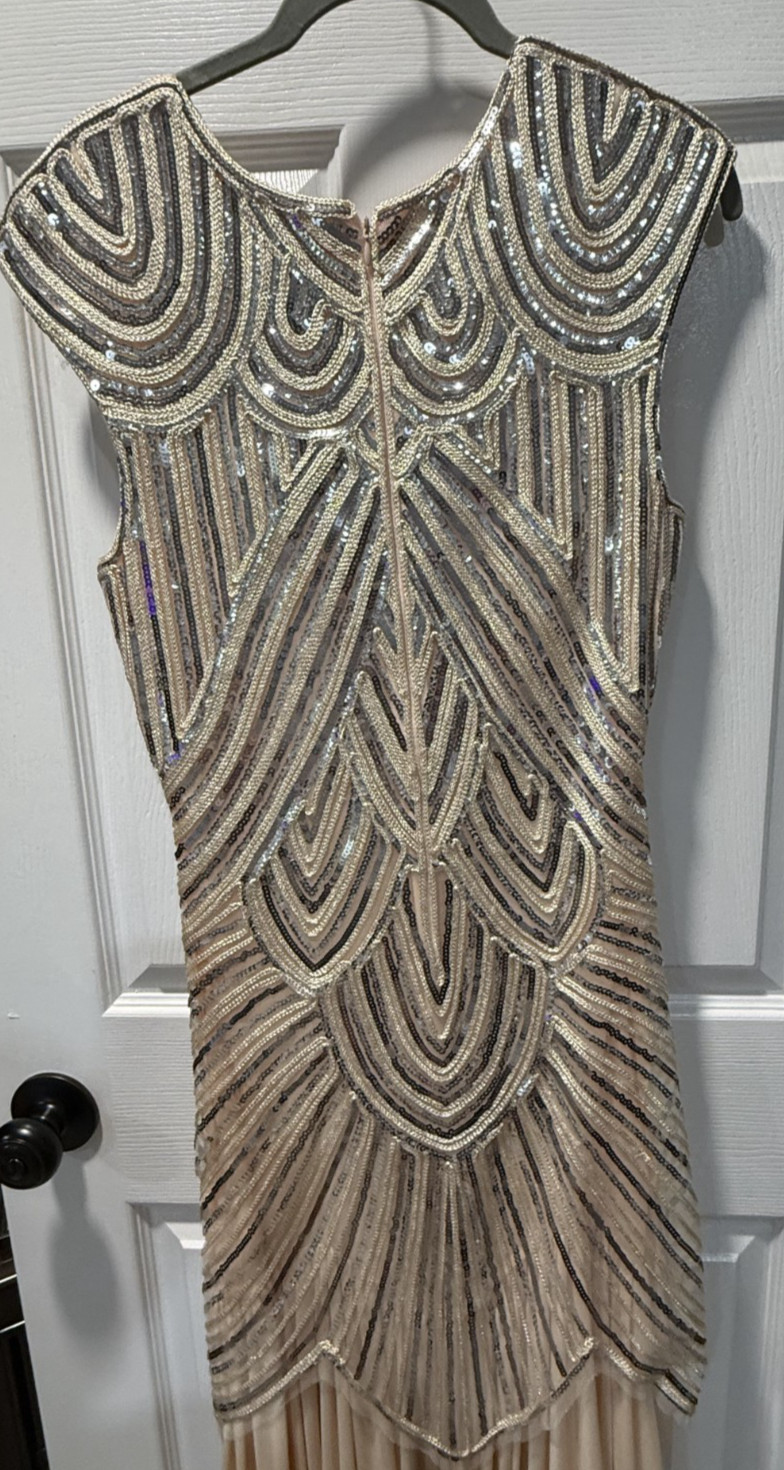 Retro 1920’s stage full length women’s silver and ivory sequin dress