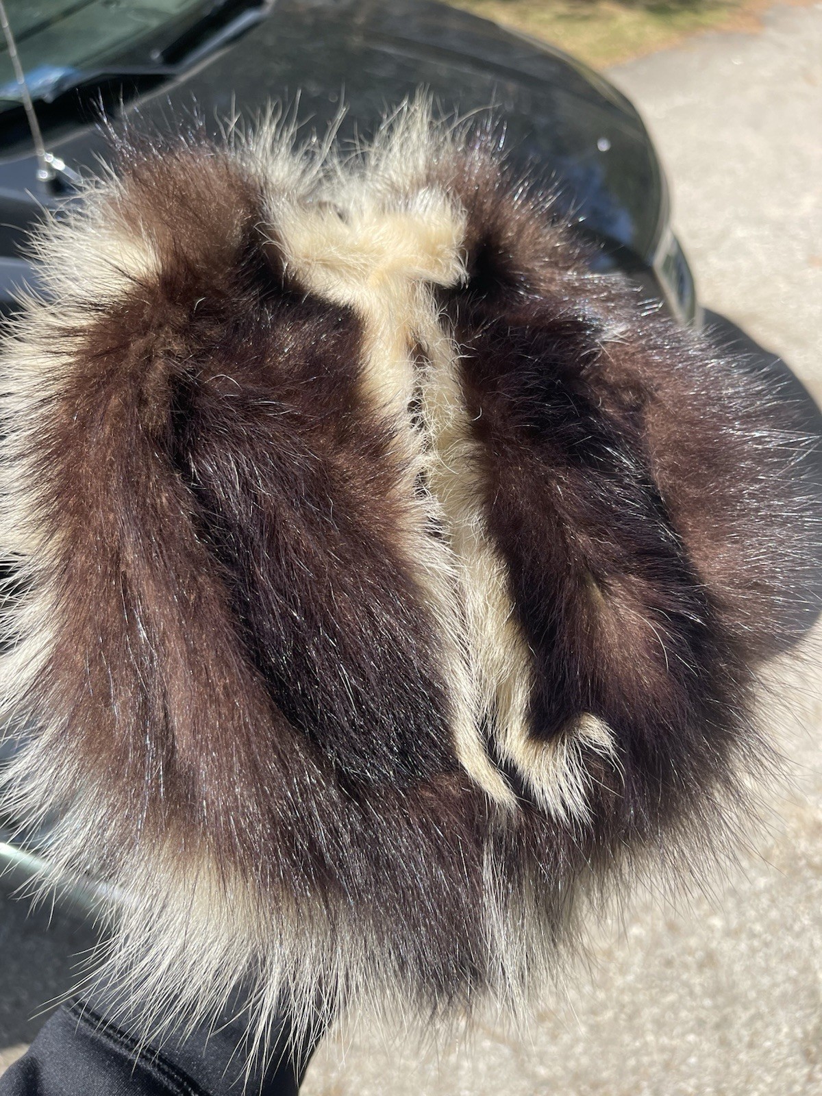 Vintage Skunk Fur Trapper Hat Lined Approx. M-L Size, Taxidermy Vintage Rare