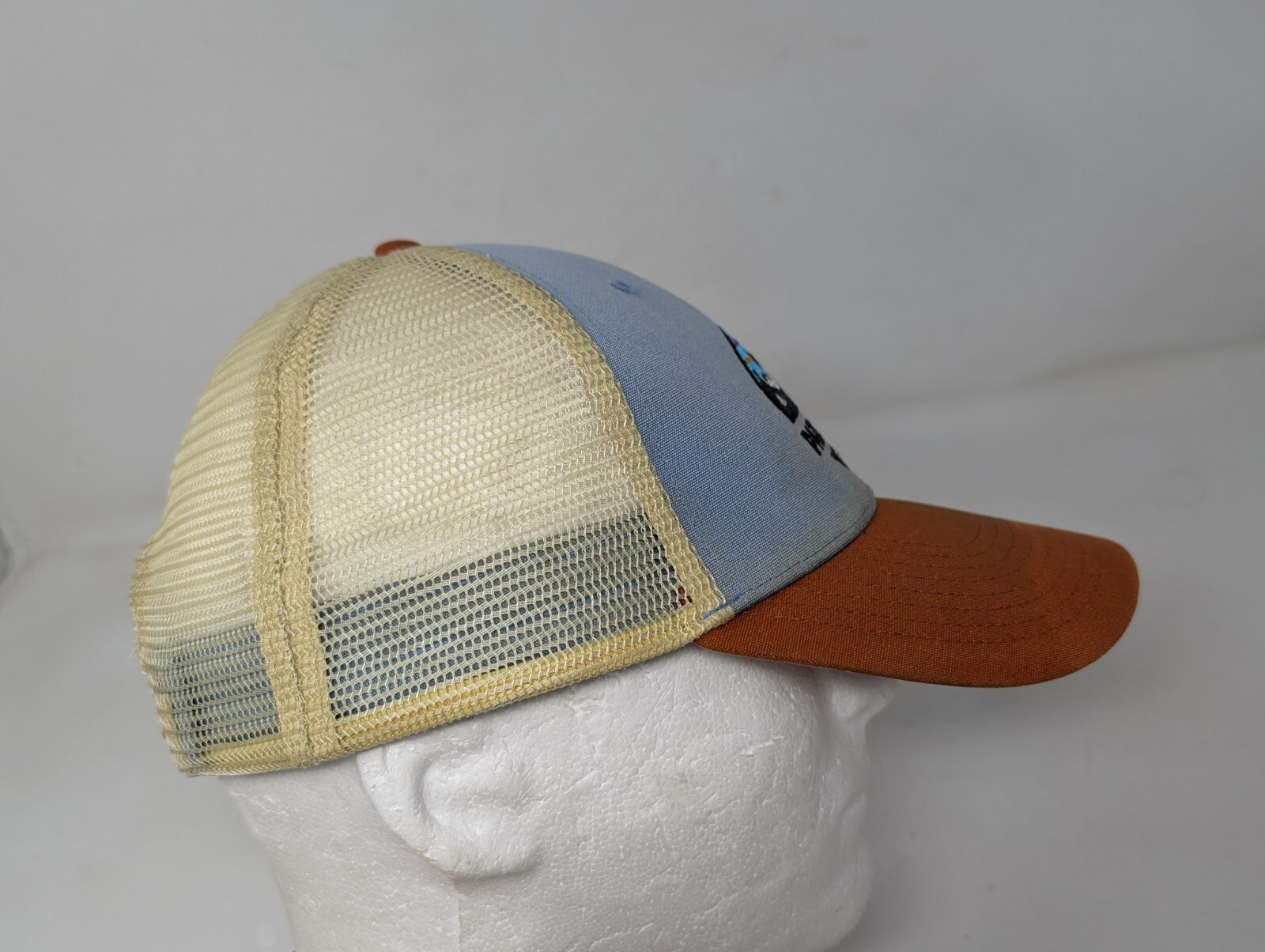Distressed Faded Patagonia Fitz Roy Lo-Pro Trucker Snapback Baseball Hat CAP