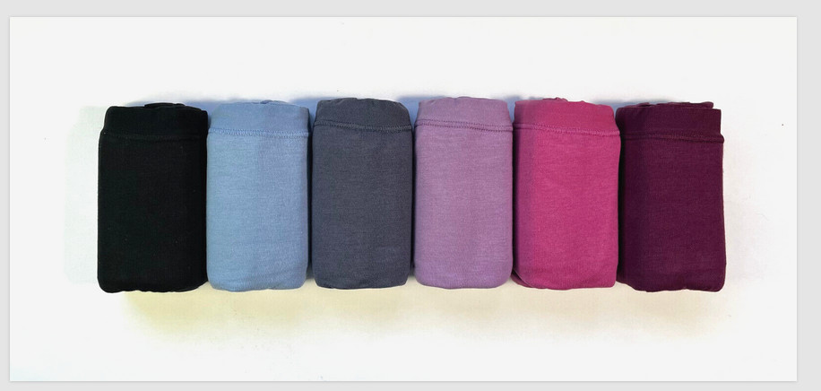 New 6 pk of it.se.bit.se Classic Fit HICUT panty by French Dressing~ Size S – XL