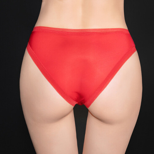 4 Pack Lot Women Sheer See-through Briefs Panties Underwear High Cut Lingeries
