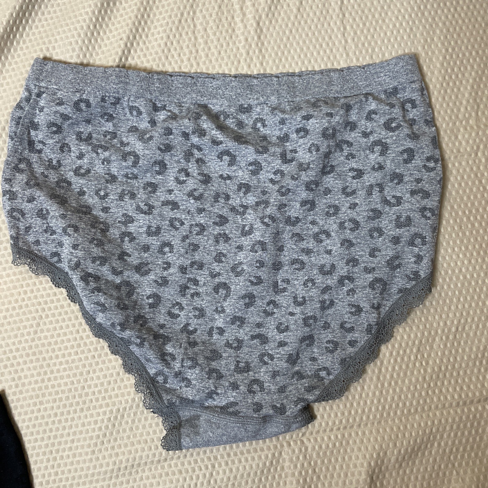 2 Pack GLORIA VANDERBILT Women Sz 1X Microfiber Smooth Waist Briefs Black & Gray
