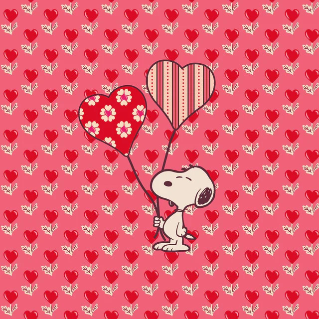 Vera Bradley ~ Snoopy “Love Is in the Air” ~ Small Travel Duffle /Gym Bag ~ NWT