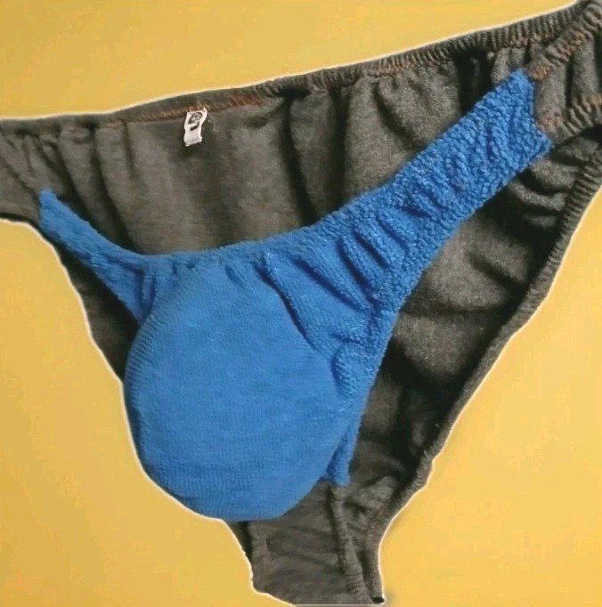 Men’s Underwear- 1 Pack Low Rise String Sexy Bikini Briefs (Large)