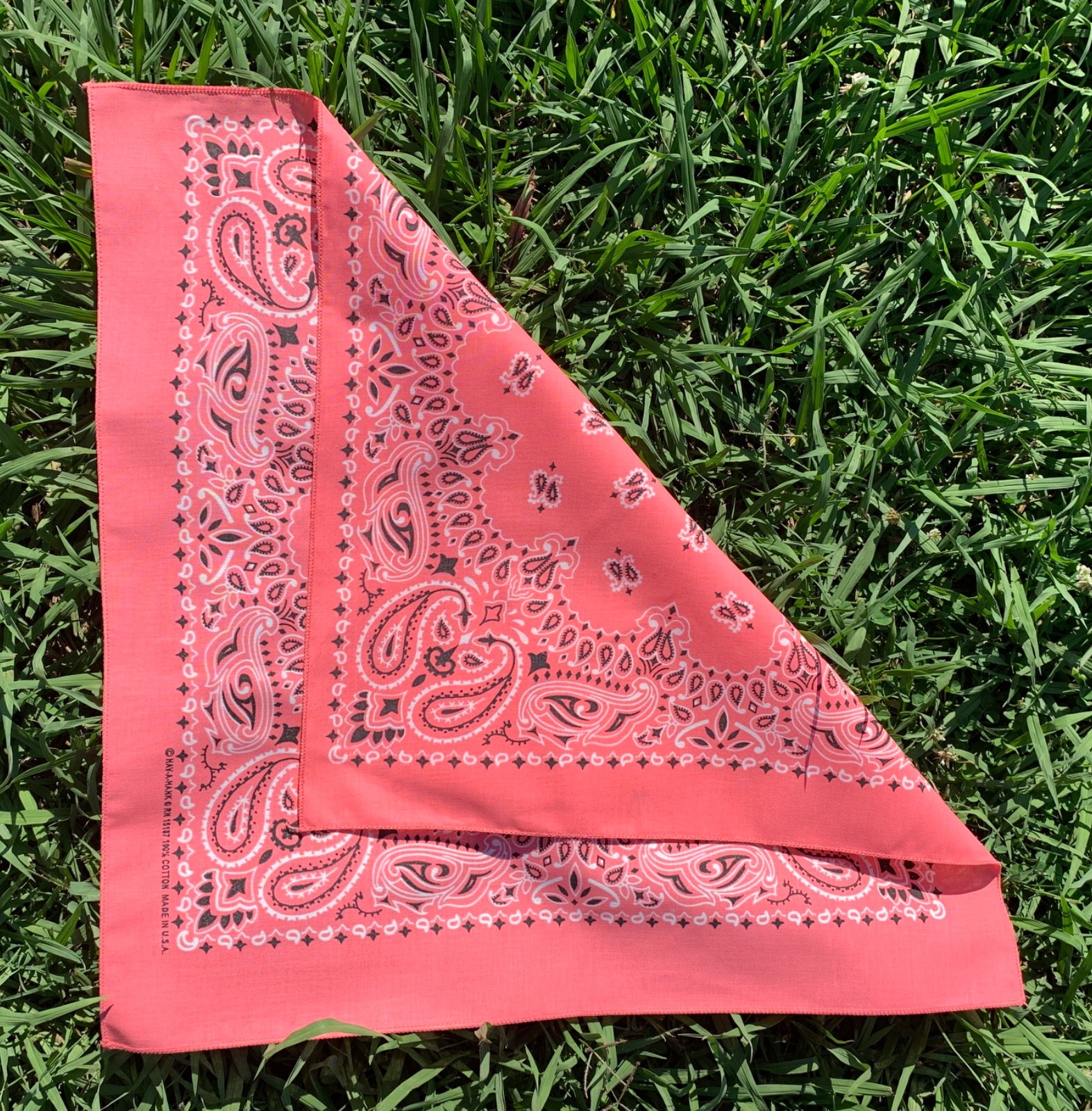 Strawberry Paisley 22×22 Bandanna, Made in USA, Hav-A-Hank