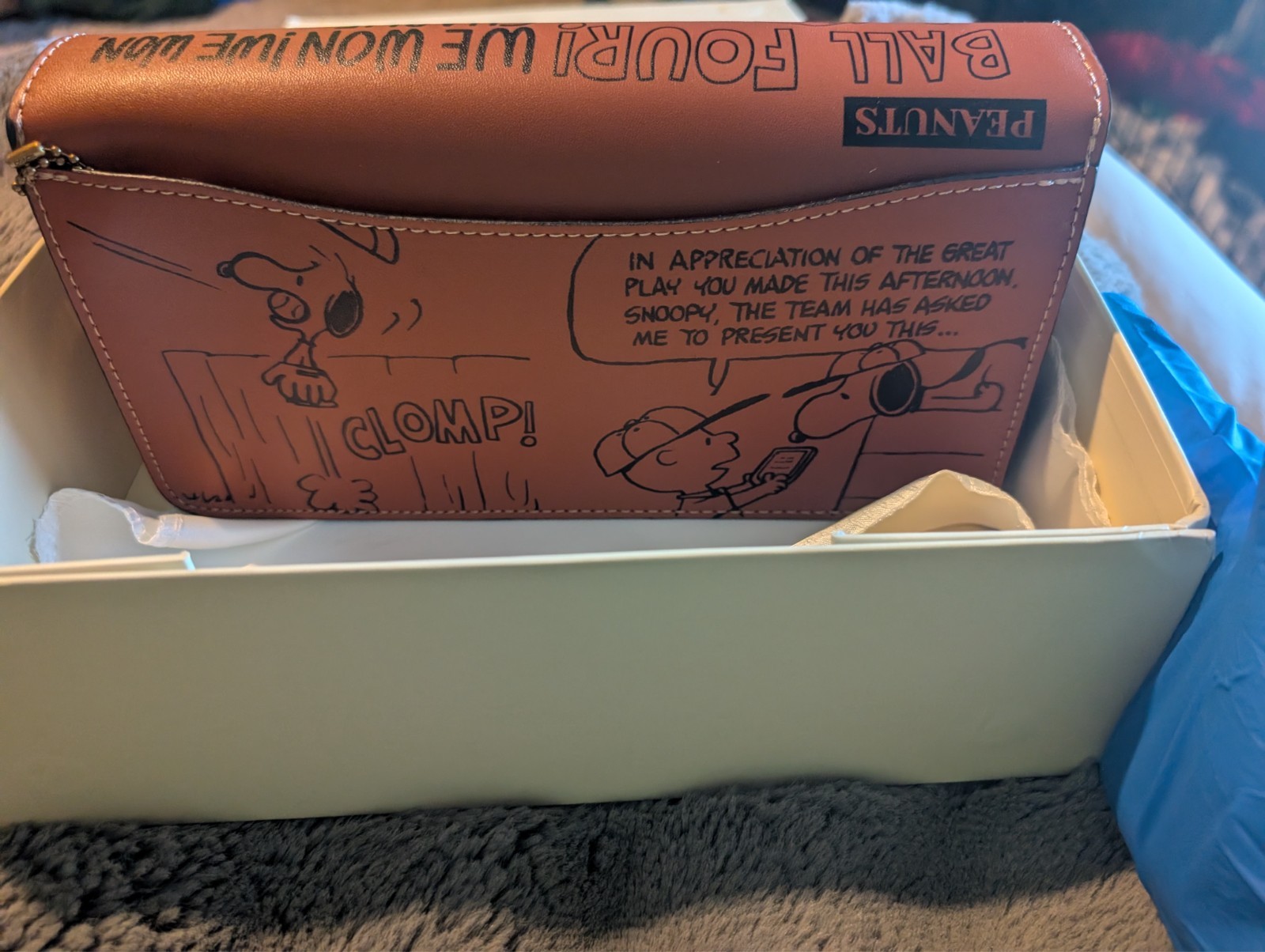 Coach Tabby brown Peanuts Hand drawn Comic