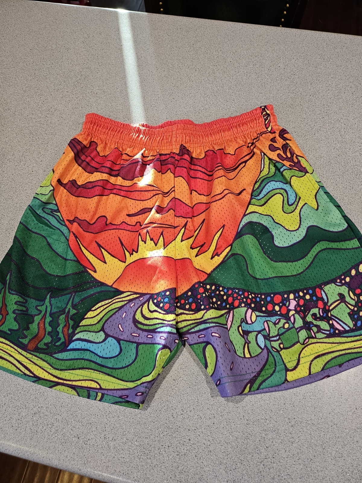 Crisp NYC Mens Mushroom Graphic Print Mesh Athletic Shorts XL