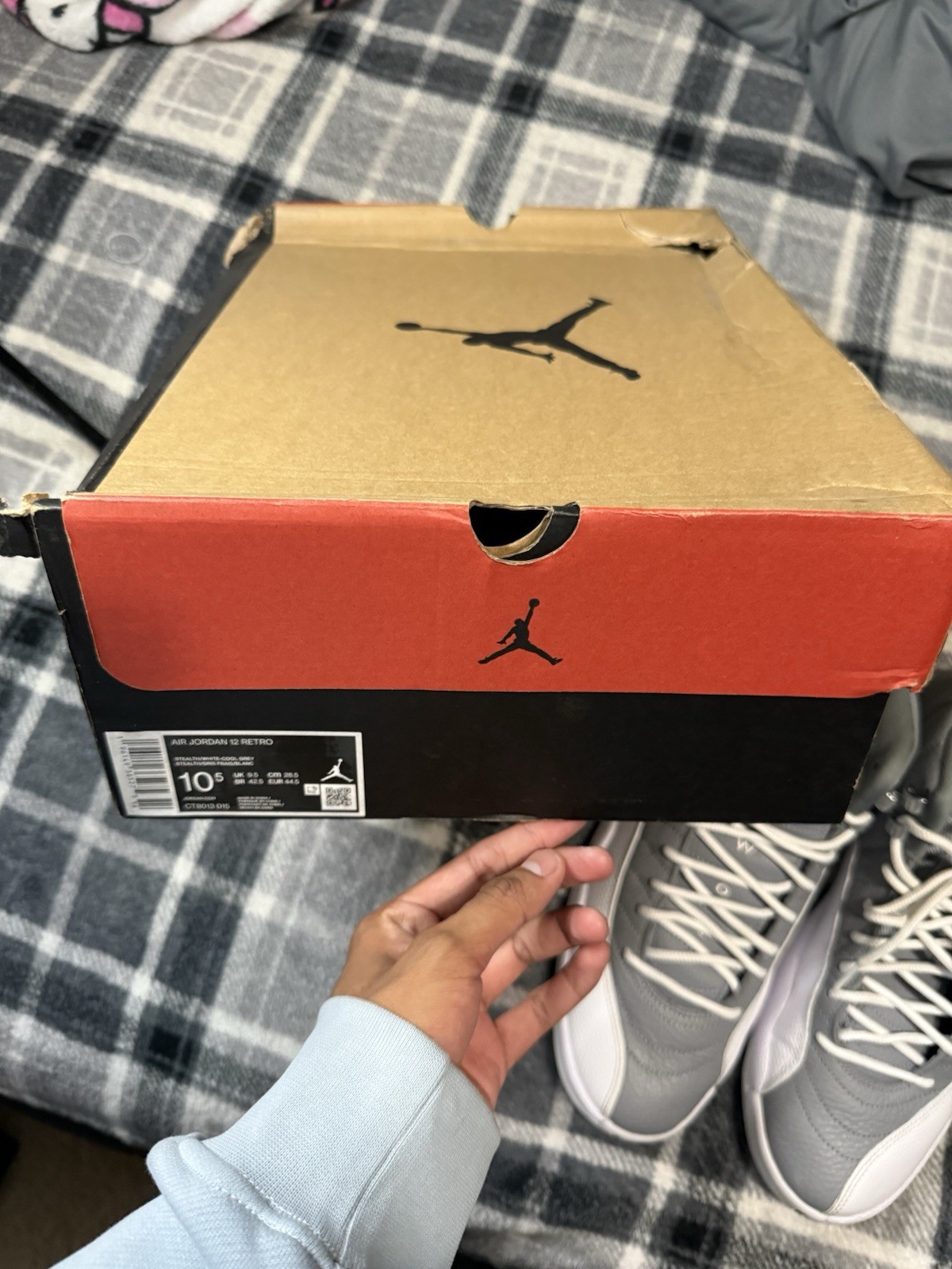 10.5M Jordan Air Jordan 12 Retro Stealth Gray og all