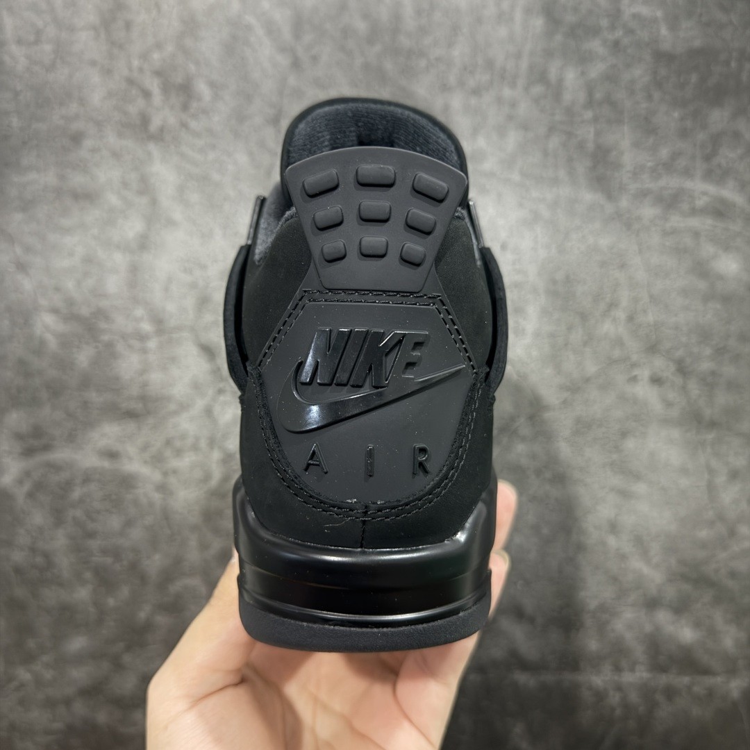 AJ 4 “Black Cat” FV5029-010