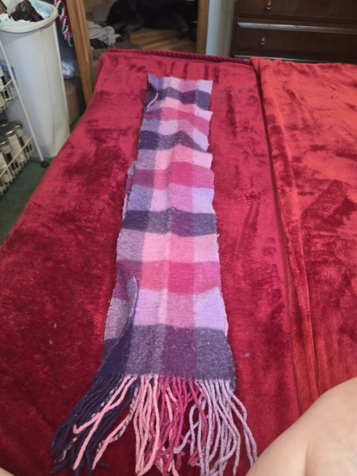 Women’s Coach Acrylic Knit Wool scarf
