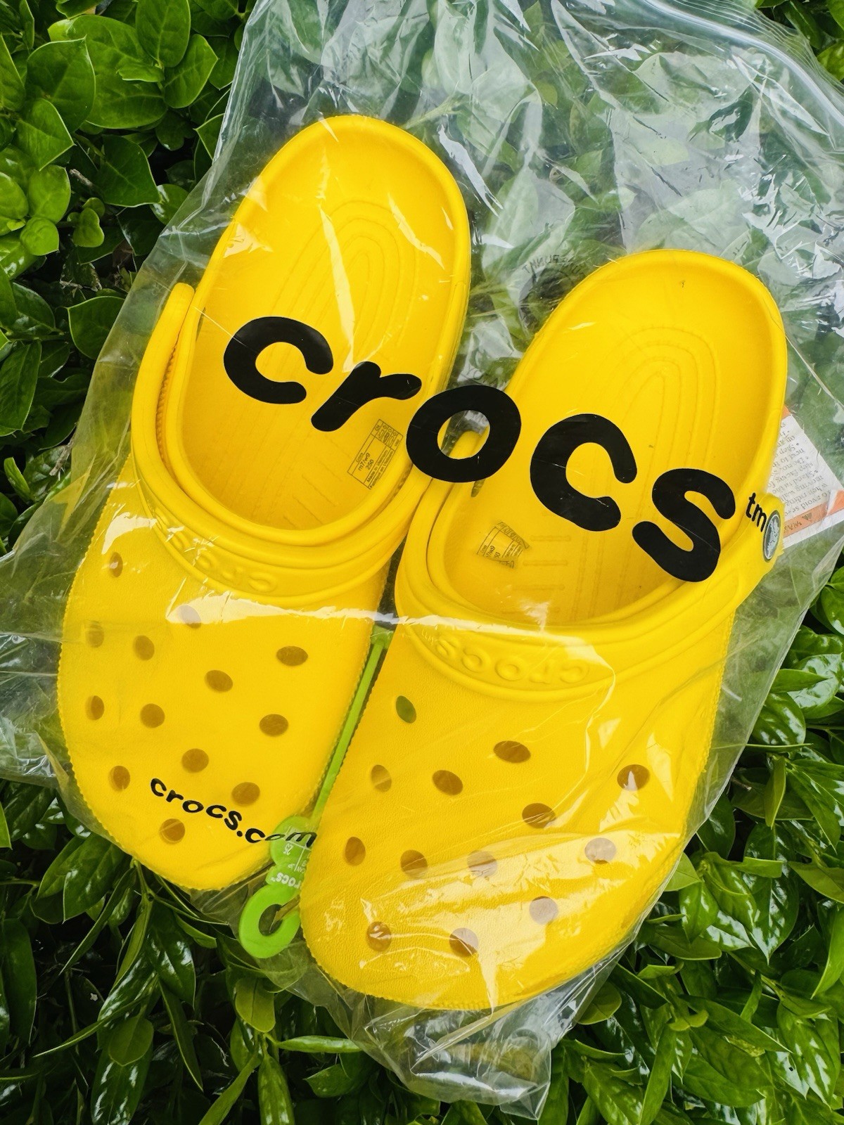 Crocs Yellow 9M men’s – 11W Women’s Classic Clogs Fast Shipping. 🐊