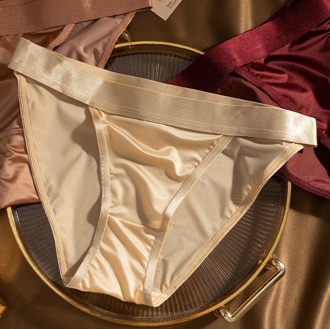 6 Pack Lot Sexy Womens Satin Panties Bikinis Underwear Lingeries Brief Low Rise