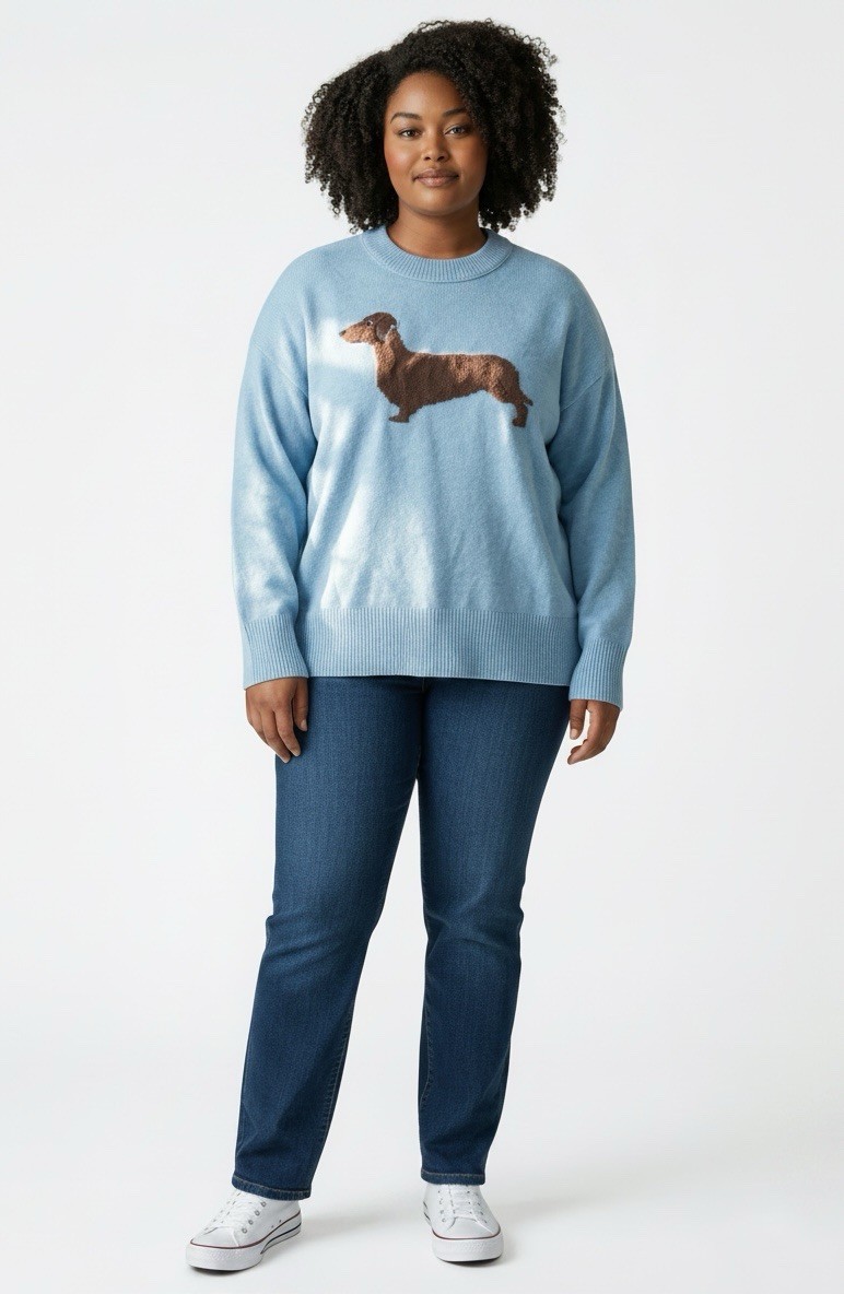 Aerie Softest Luxe Crew Neck Cozy Sweater Dachshund Dog Graphic Womens XXL New
