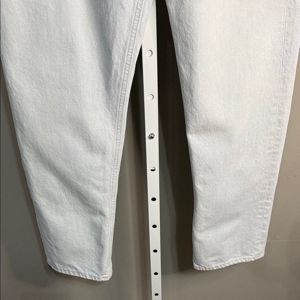 NWT AGOLDE 90’s Pinch Waist High Rise Straight Jean in Haze Size 29