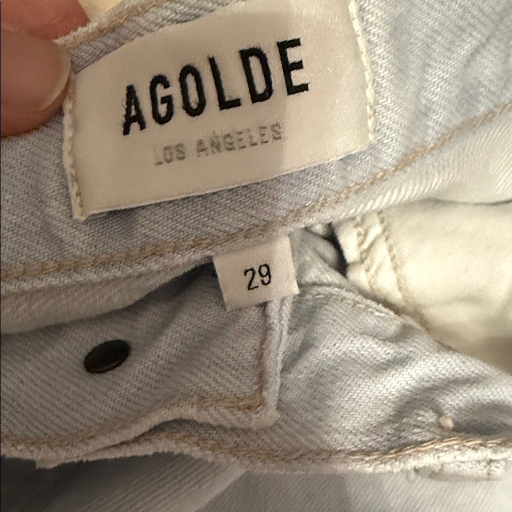 NWT AGOLDE 90’s Pinch Waist High Rise Straight Jean in Haze Size 29