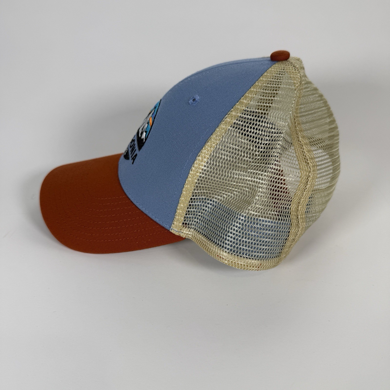 PATAGONIA Fitz Roy Lo-Pro Trucker Hat Mesh Orange Blue Embroidered Mountain Logo