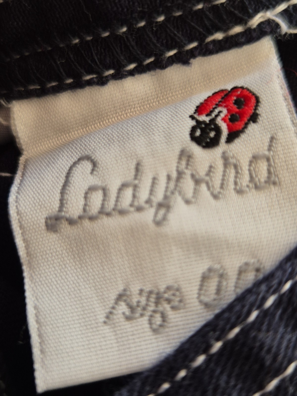 Vintage Ladybird Shortalls