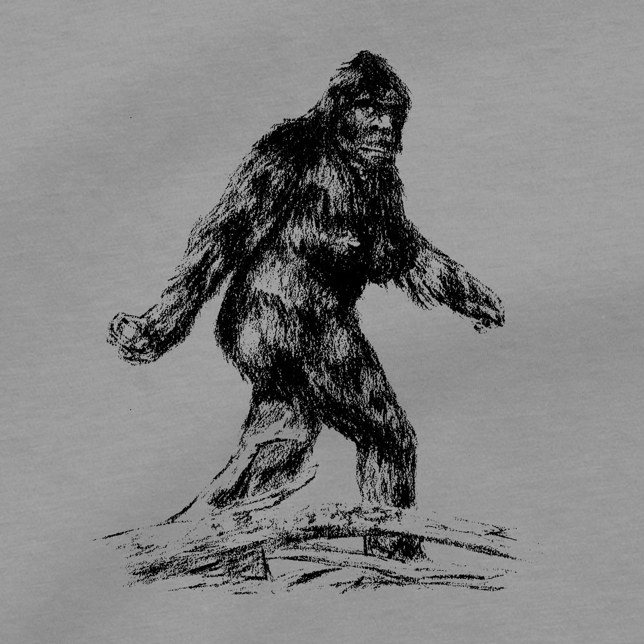 Big Foot T Shirt Loch Ness Nessie Cryptid Cryptozoology Cryptozoologist UFO Tee