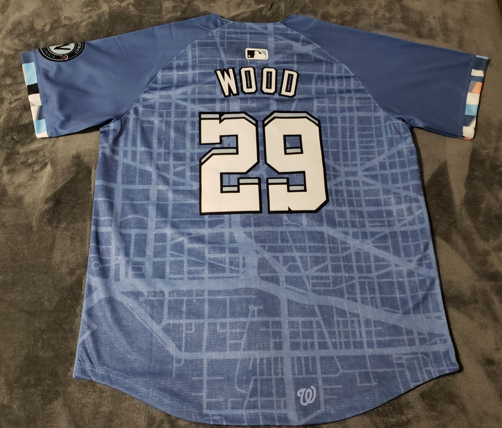 Fast Free Shipping! Large James Wood Washington Nationals Stitched Jersey 29
