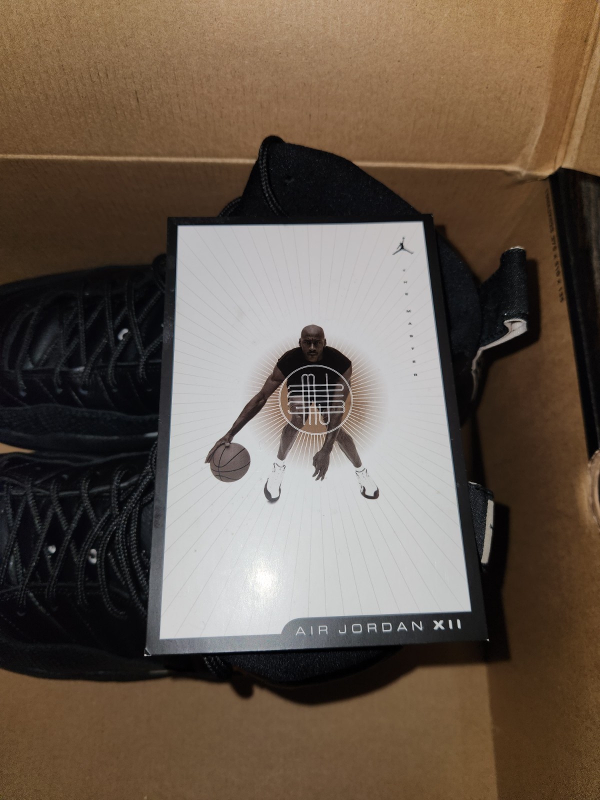 Air Jordan 12 Retro The Master – Size 13 pre-owned with Original Box and Inserts
